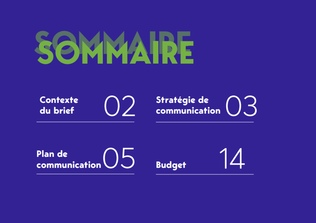 Ronsard 2